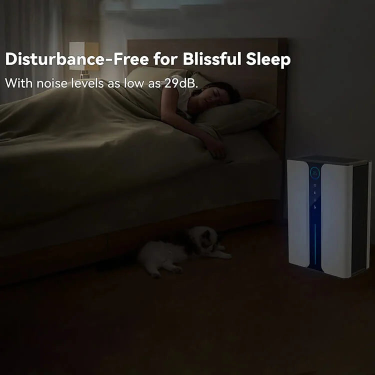 Overly Dehumidifier with Air Reusable Filter