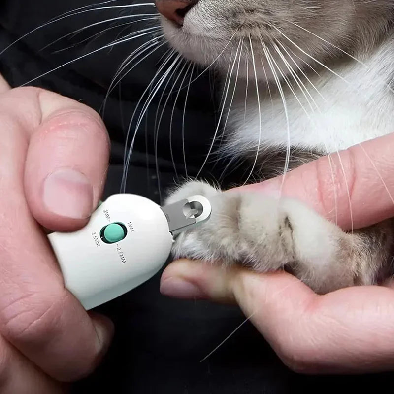 Safe and Stress-Free Nail Trimming for Your Pet with SnipiPup