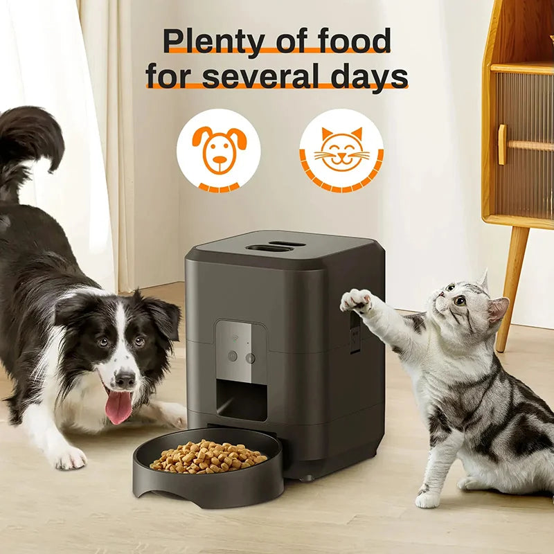 Puryofee Automatic Cat Feeder