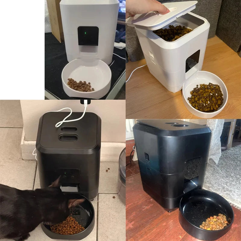 smart feeder