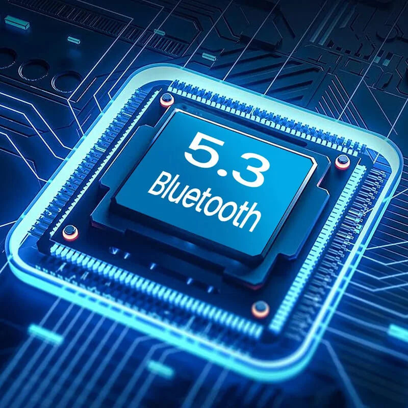 Paraear ANC&ENC Wireless Earbuds