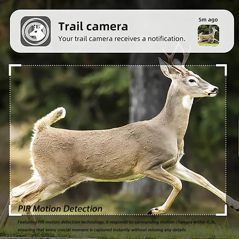 Trovoro Wildlife Camera